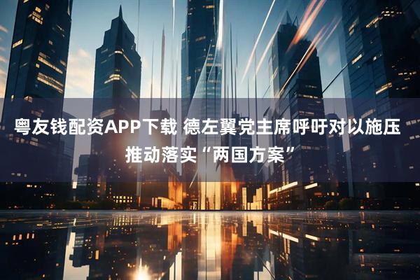 粤友钱配资APP下载 德左翼党主席呼吁对以施压 推动落实“两国方案”