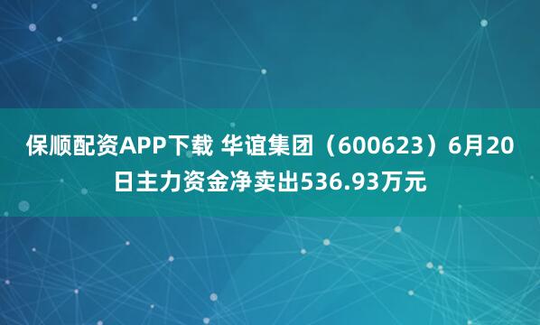 保顺配资APP下载 华谊集团（600623）6月20日主力资金净卖出536.93万元
